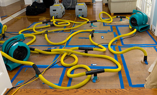 Professional Water Damage Repair technician working in Key Biscayne, FL